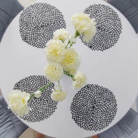 Dwie Sosny - 48 * Ustronie Morskie