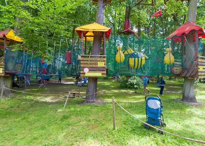 Dwie Sosny - 48 * ウストロニエ・モルスキエ